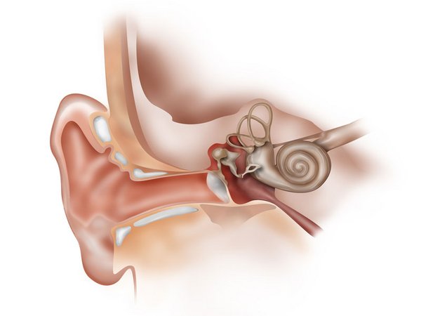 Fotolia_18219197_Subscription_XXL-small.jpg